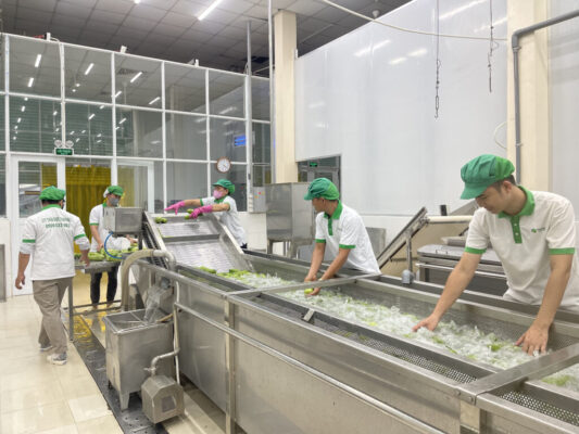 quy trình sản xuất thảo dược